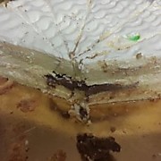 торт"нежность"разрез